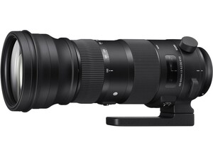 Sigma 150-600mm F5-6.3 DG OS HSM | Sports, Nikon